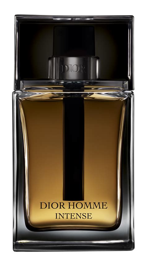 dior homme parfum note|dior homme by christian.